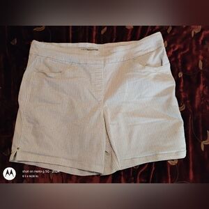 Liz Claiborne Light Blue Striped Women's Shorts